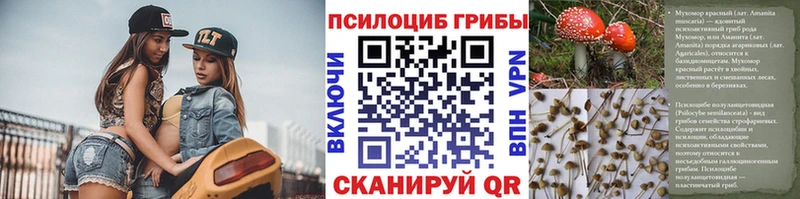 Псилоцибиновые грибы мицелий  Гаврилов-Ям 